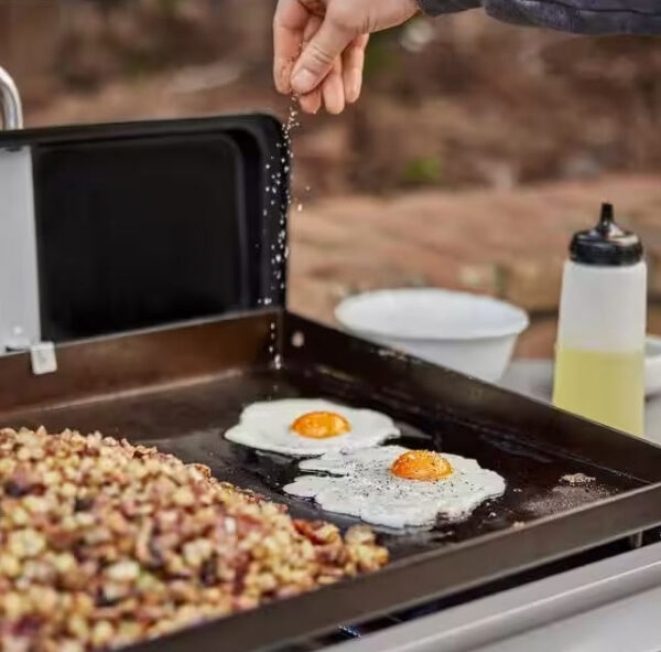 Weber 28″ Griddle Liquid Propane Grill - Image 16