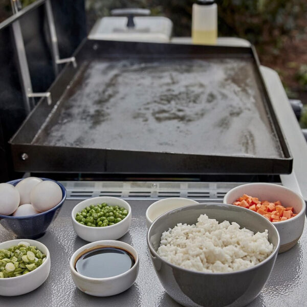 Weber 28″ Griddle Liquid Propane Grill - Image 13
